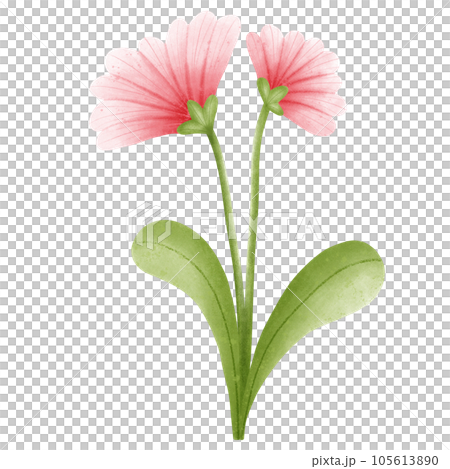Flower Flower 105613890