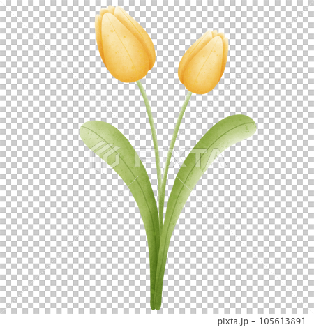 Flower Flower 105613891