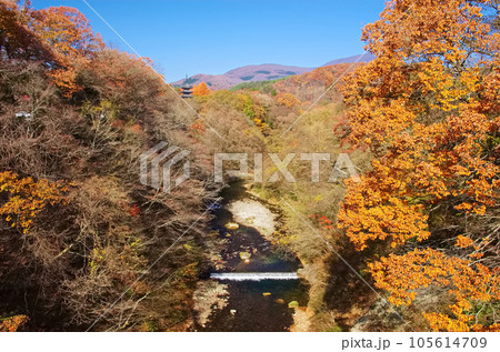 秋の定義山(宮城県仙台市) 秋の定義山(宮城県仙台市) 105614709