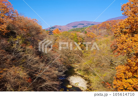 秋の定義山(宮城県仙台市) 秋の定義山(宮城県仙台市) 105614710