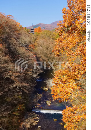 秋の定義山（宮城県仙台市） 105614711