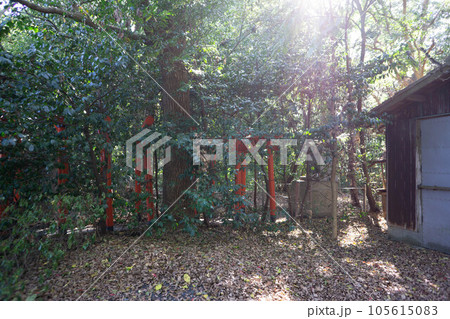 築上郡(吉富町) 八幡古表神社 築上郡(吉富町) 八幡古表神社 105615083