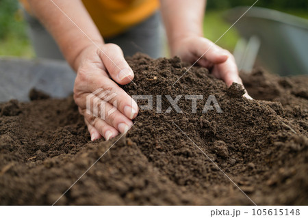 Woman hands touching soil on the field. Expert hand of farmer checking soil health before growth a seed of vegetable or plant seedling. Business or ecology concept. 105615148