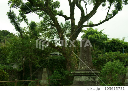 西郷隆盛終焉の地 西郷隆盛終焉の地 105615721