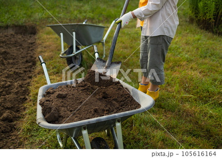 50s senior farmer woman with a shovel unloads a wheelbarrow filled with earth. Spring field work  105616164