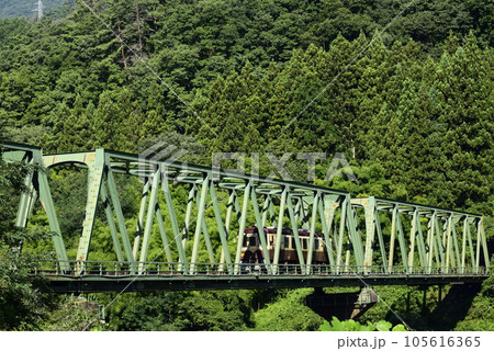 群馬　鉄橋を渡るわたらせ渓谷鐡道 105616365