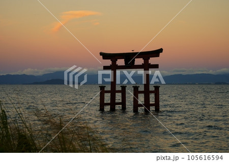 白髭神社　湖中大鳥居の夕景（滋賀県高島市　琵琶湖畔　白髭神社　別名：白鬚明神、比良明神） 105616594