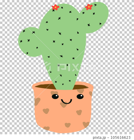 cactus cactus 105616623