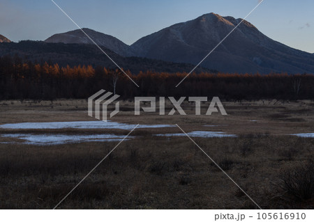 朝の小田代ヶ原から見た太郎山 105616910