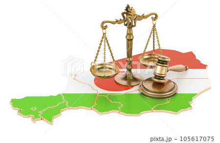 Law and justice in republic of the Niger concept, 3D rendering 105617075