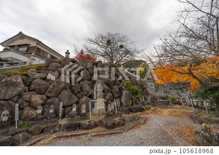 龍光院 105618968