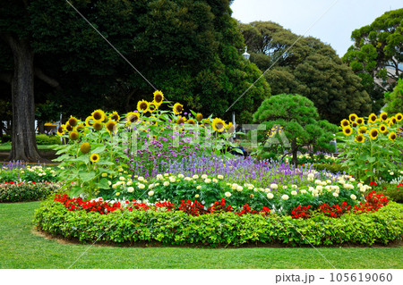 山下公園 花壇 山下公園 花壇 105619060