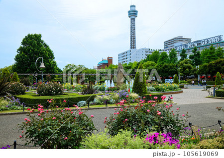 山下公園　花壇 105619069