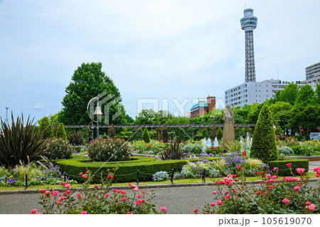 山下公園 花壇 山下公園 花壇 105619070