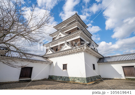 大洲城 大洲城 105619641