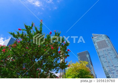 【東京都】8月・青空の東京都、虎ノ門ヒルズを望む 【東京都】8月・青空の東京都、虎ノ門ヒルズを望む 105619760
