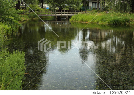 安曇野わさび田湧水公園/日本名水100選【長野県安曇野市豊科南穂高】 安曇野わさび田湧水公園/日本名水100選【長野県安曇野市豊科南穂高】 105620924
