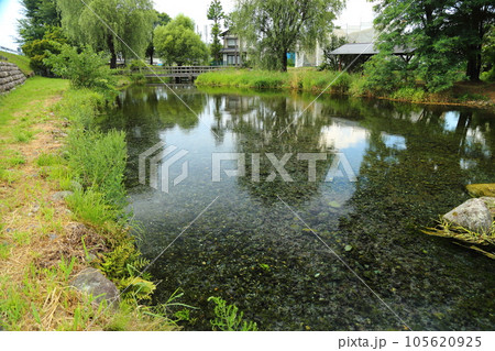 安曇野わさび田湧水公園/日本名水100選【長野県安曇野市豊科南穂高】 安曇野わさび田湧水公園/日本名水100選【長野県安曇野市豊科南穂高】 105620925