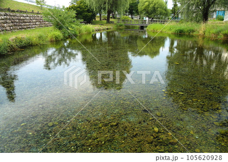 安曇野わさび田湧水公園/日本名水100選【長野県安曇野市豊科南穂高】 安曇野わさび田湧水公園/日本名水100選【長野県安曇野市豊科南穂高】 105620928
