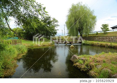安曇野わさび田湧水公園/日本名水100選【長野県安曇野市豊科南穂高】 安曇野わさび田湧水公園/日本名水100選【長野県安曇野市豊科南穂高】 105620929