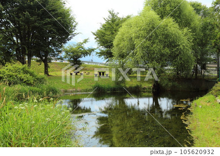 安曇野わさび田湧水公園/日本名水100選【長野県安曇野市豊科南穂高】 安曇野わさび田湧水公園/日本名水100選【長野県安曇野市豊科南穂高】 105620932