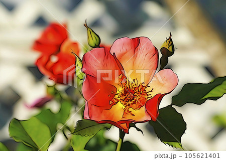 パステル調　”一重咲きのバラの花”　イラストイメージ 105621401