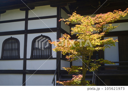 京都清涼寺本堂裏の火灯窓ともみじ-2 105621973