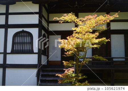 京都清涼寺本堂裏の火灯窓ともみじ-1 105621974