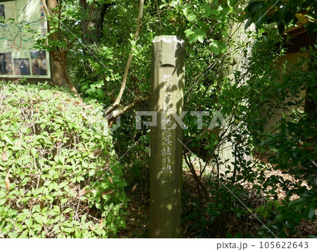 椋神社 (埼玉県秩父市) 椋神社 (埼玉県秩父市) 105622643