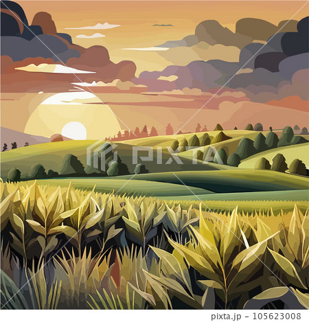 Corn field with the blue sky Realistic vector illustration of corn field 105623008
