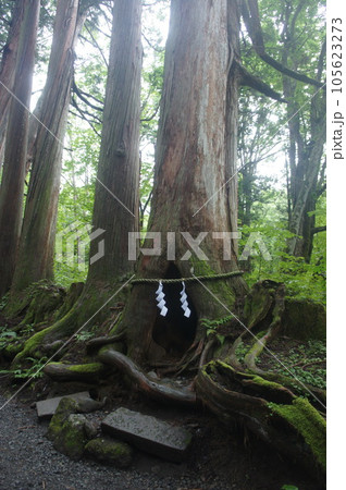 戸隠神社 105623273