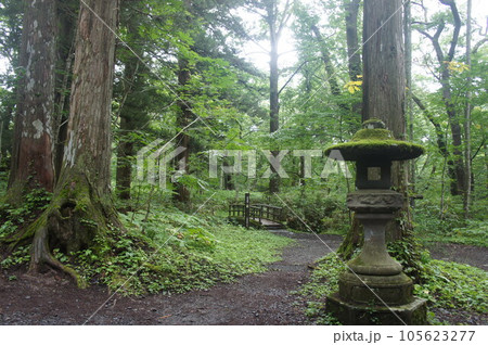 戸隠神社 105623277