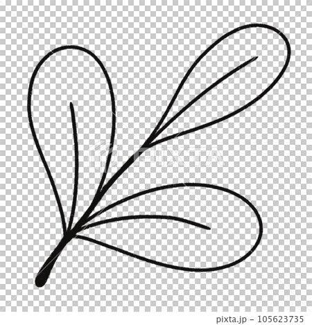 Leaf black and white stripes lined design design vegetable fruit sea child learning teaching drawing book book coloring book development picture without color Flower clump of grass Leaf black and white stripes lined design design vegetable fruit sea child learning teaching drawing book book coloring book development picture without color Flower clump of grass 105623735