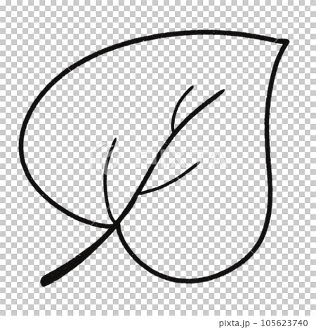 Leaf  black and white  stripes lined design  design  vegetable fruit  sea  child  learning teaching  drawing book  book coloring book  development picture without color  Flower clump of grass   105623740