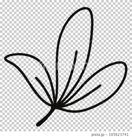 Leaf  black and white  stripes lined design  design  vegetable fruit  sea  child  learning teaching  drawing book  book coloring book  development picture without color  Flower clump of grass   105623741