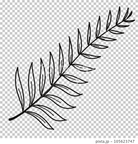Leaf black and white stripes lined design design vegetable fruit sea child learning teaching drawing book book coloring book development picture without color Flower clump of grass Leaf black and white stripes lined design design vegetable fruit sea child learning teaching drawing book book coloring book development picture without color Flower clump of grass 105623747