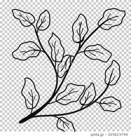 Leaf black and white stripes lined design design vegetable fruit sea child learning teaching drawing book book coloring book development picture without color Flower clump of grass Leaf black and white stripes lined design design vegetable fruit sea child learning teaching drawing book book coloring book development picture without color Flower clump of grass 105623749