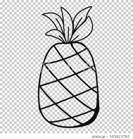 Leaf  black and white  stripes lined design  design  vegetable fruit  sea  child  learning teaching  drawing book  book coloring book  development picture without color  Flower clump of grass   105623762