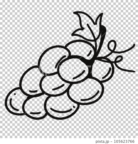 Leaf black and white stripes lined design design vegetable fruit sea child learning teaching drawing book book coloring book development picture without color Flower clump of grass Leaf black and white stripes lined design design vegetable fruit sea child learning teaching drawing book book coloring book development picture without color Flower clump of grass 105623766