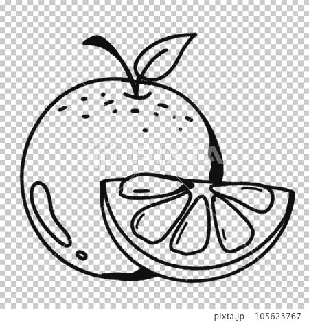 Leaf black and white stripes lined design design vegetable fruit sea child learning teaching drawing book book coloring book development picture without color Flower clump of grass Leaf black and white stripes lined design design vegetable fruit sea child learning teaching drawing book book coloring book development picture without color Flower clump of grass 105623767