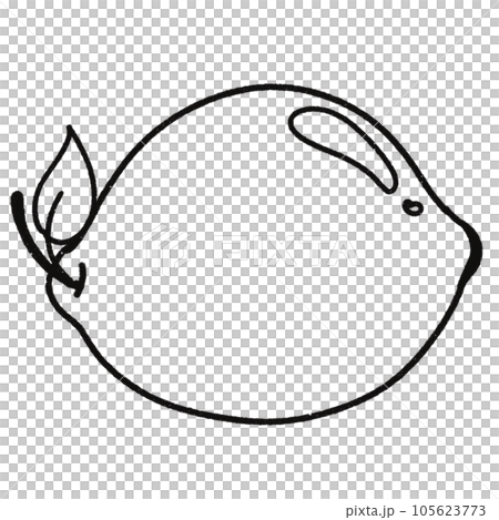 Leaf  black and white  stripes lined design  design  vegetable fruit  sea  child  learning teaching  drawing book  book coloring book  development picture without color  Flower clump of grass   105623773