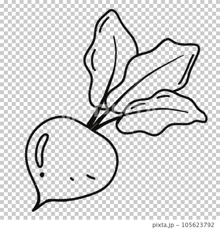 Leaf  black and white  stripes lined design  design  vegetable fruit  sea  child  learning teaching  drawing book  book coloring book  development picture without color  Flower clump of grass   105623792