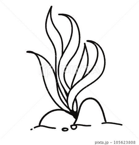 Leaf  black and white  stripes lined design  design  vegetable fruit  sea  child  learning teaching  drawing book  book coloring book  development picture without color  Flower clump of grass   105623808