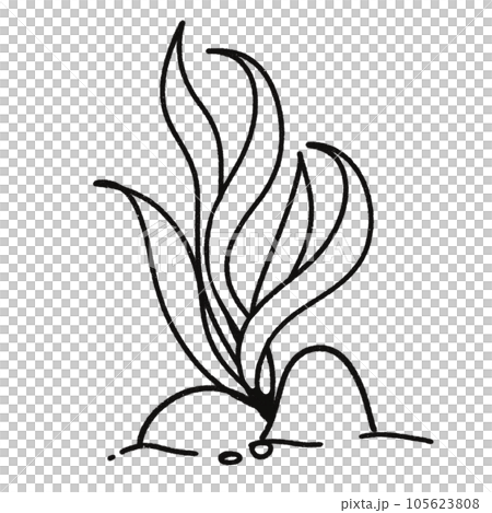 Leaf  black and white  stripes lined design  design  vegetable fruit  sea  child  learning teaching  drawing book  book coloring book  development picture without color  Flower clump of grass   105623808