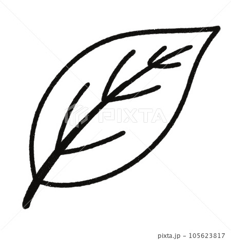 Leaf  black and white  stripes lined design  design  vegetable fruit  sea  child  learning teaching  drawing book  book coloring book  development picture without color  Flower clump of grass   105623817