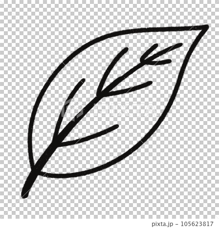 Leaf  black and white  stripes lined design  design  vegetable fruit  sea  child  learning teaching  drawing book  book coloring book  development picture without color  Flower clump of grass   105623817