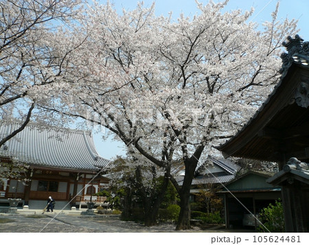長福寺 (埼玉県川越市) 長福寺 (埼玉県川越市) 105624481