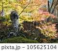 紅葉を背に静かに立つ地蔵像 105625104