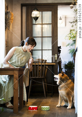 ドックカフェ　若い女性　犬　イメージ 105625139
