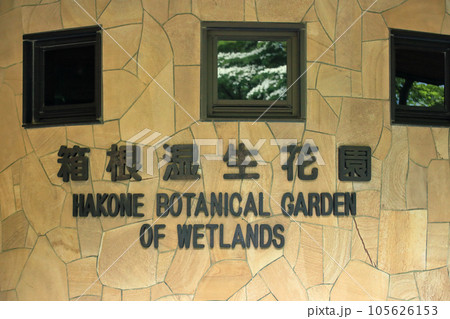 神奈川県箱根町　ハナミズキ咲く箱根湿生花園入口 105626153
